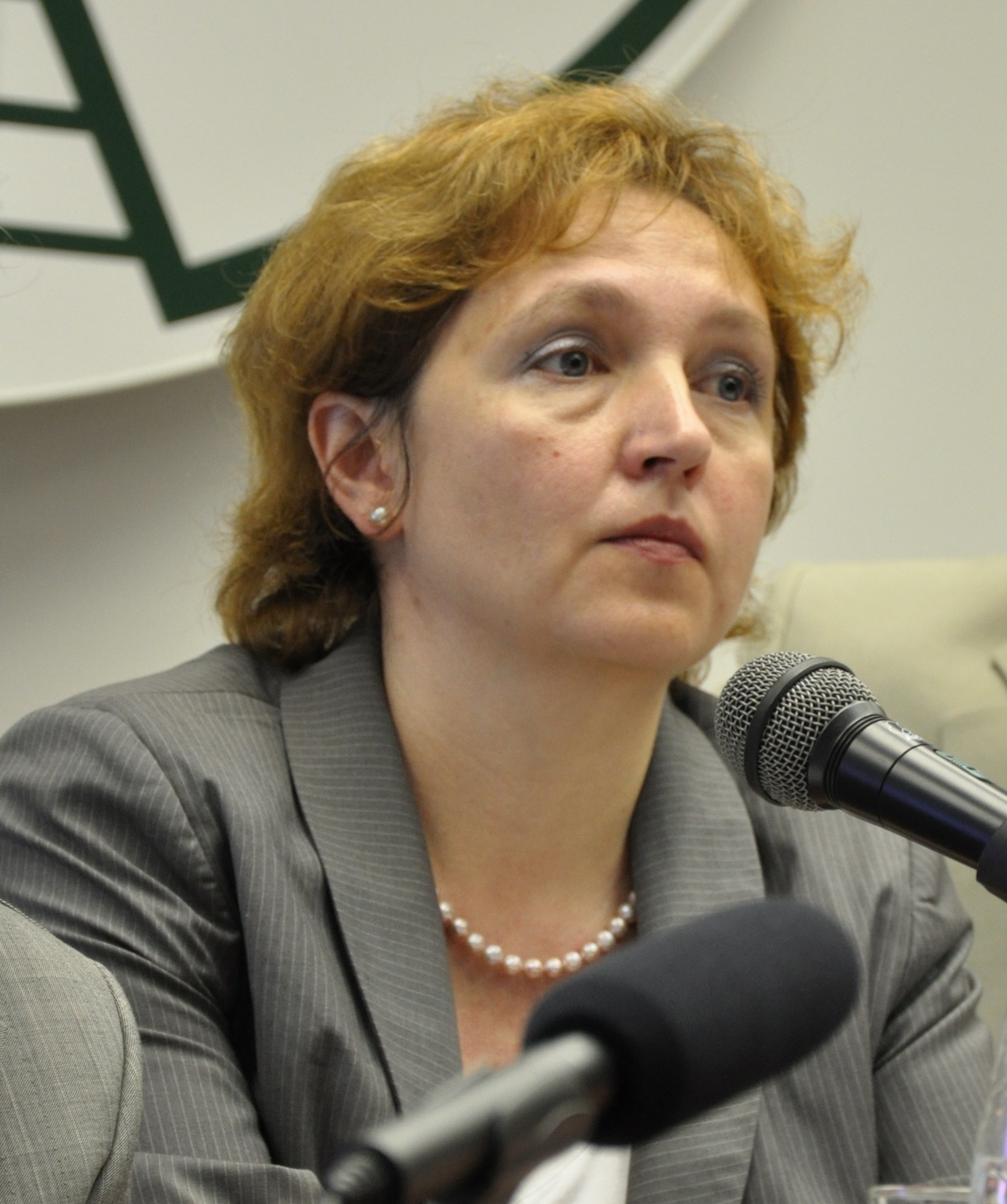 Артамонова Елена Раифовна – главный специалист отдела образовательных учреждений комитета по образованию правительства Санкт-Петербурга